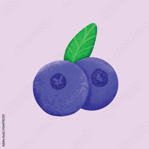 Two blueberries with a green leaf