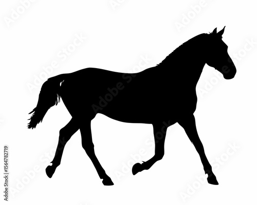 Silhouette of a horse in motion against a white background showing its elegant posture and muscular build created with generated ai