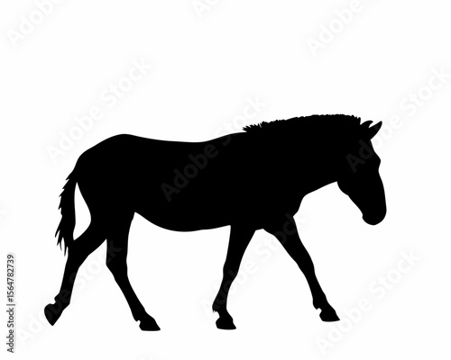 Silhouette of a walking zebra with a short mane and tail against a plain white background in side profile created with generated ai