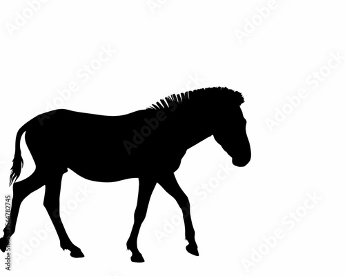 Silhouette of a walking zebra with detailed mane and tail against a plain white background image view created with generated ai