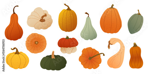 Vector set of colorful pumpkins and gourds, textured flat style Autumn harvest vegetables for seasonal card, fall print, packaging, thanksgiving poster and cozy rustic decor for farm or kitchen themes
