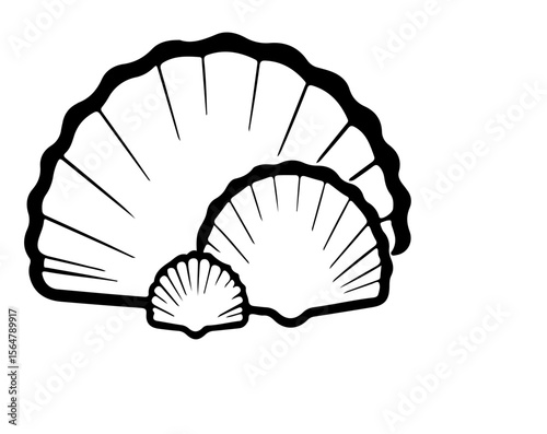 NAUTILIS SHELLS