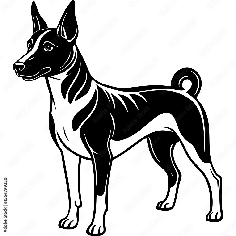 Basenji Dog Breed Elegant Black White Vector Illustration Graphic Design Basenji Dog Breed Elegant Black White Vector Illustration Graphic Design