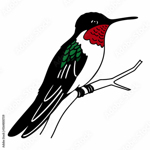 Ruby-throated Hummingbird Illustration Perched on Branch Bold Black Line Art Graphic Design