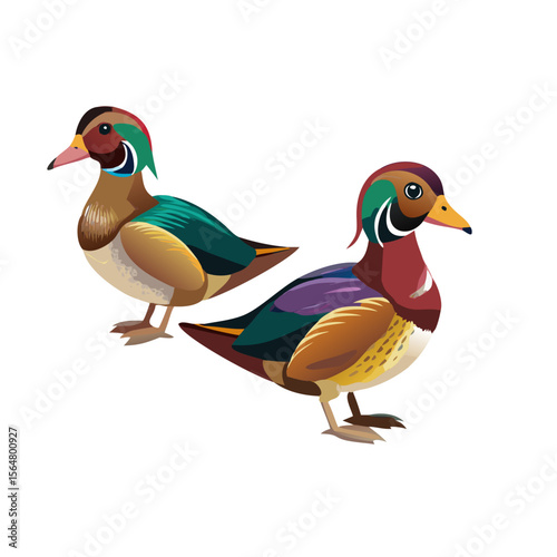 Vibrant Wood Ducks Pair Illustrated Wildlife Nature Graphic Design