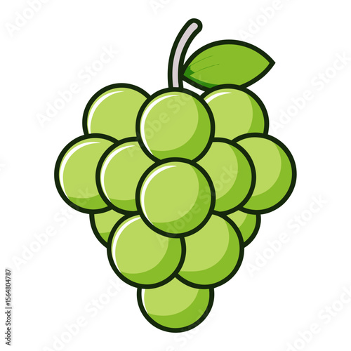 grapes vector illustration