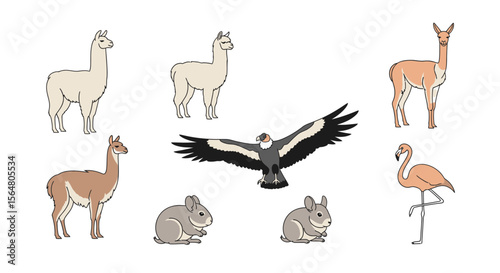Vector explore south american wildlife animals illustration including llama condor vicuna flamingo and rabbit artwork