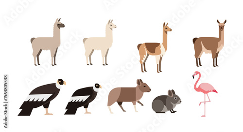 Vector illustration of south american animals llama condor mara rabbit and flamingo wildlife vector design