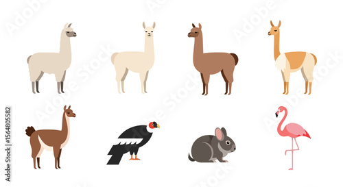 Vector illustration of south american animals llama andean condor rabbit flamingo wildlife vector graphic design art
