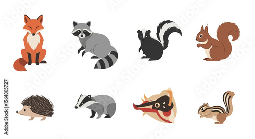 Vector illustration of woodland creatures fox raccoon skunk squirrel hedgehog badger opossum chipmunk wildlife art