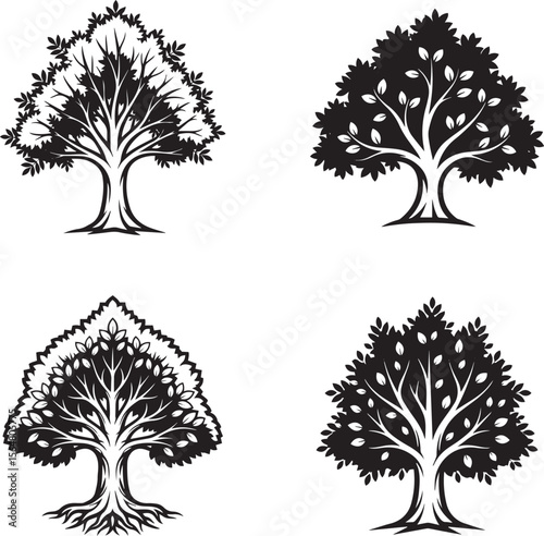 Ash tree Silhouette
