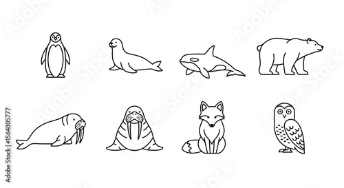 Vector arctic animals vector illustration set, polar bear, penguin, fox, owl, walrus, seal, orca line art drawing