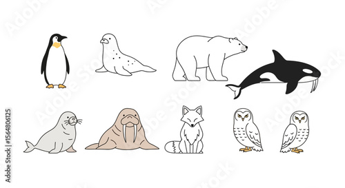 Vector arctic animals illustration featuring penguin, seal, polar bear, orca, fox, walrus and owl drawing set