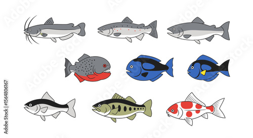Vector explore different types of fish species identification guide for aquatic life enthusiasts and researchers