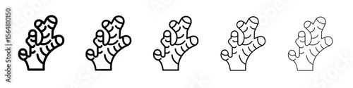 Ginger icon thin line outline set or collection