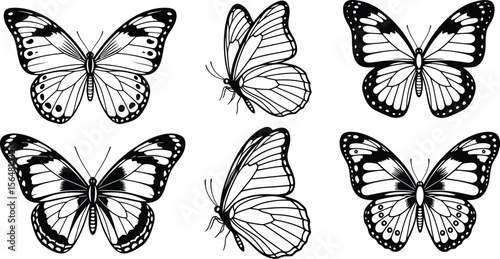 Six butterfly illustrations in black and white on a white background