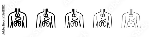 Human body anatomy icon thin line outline set or collection