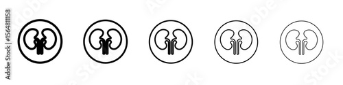 human kidneys icon thin line outline set or collection