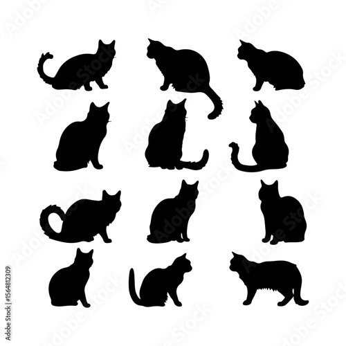 Exotic Shorthair Cat Black Silhouettes Set Clipart Black and White Background