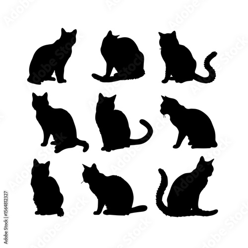 Exotic Shorthair Cat Black Silhouettes Set Clipart Black and White Background