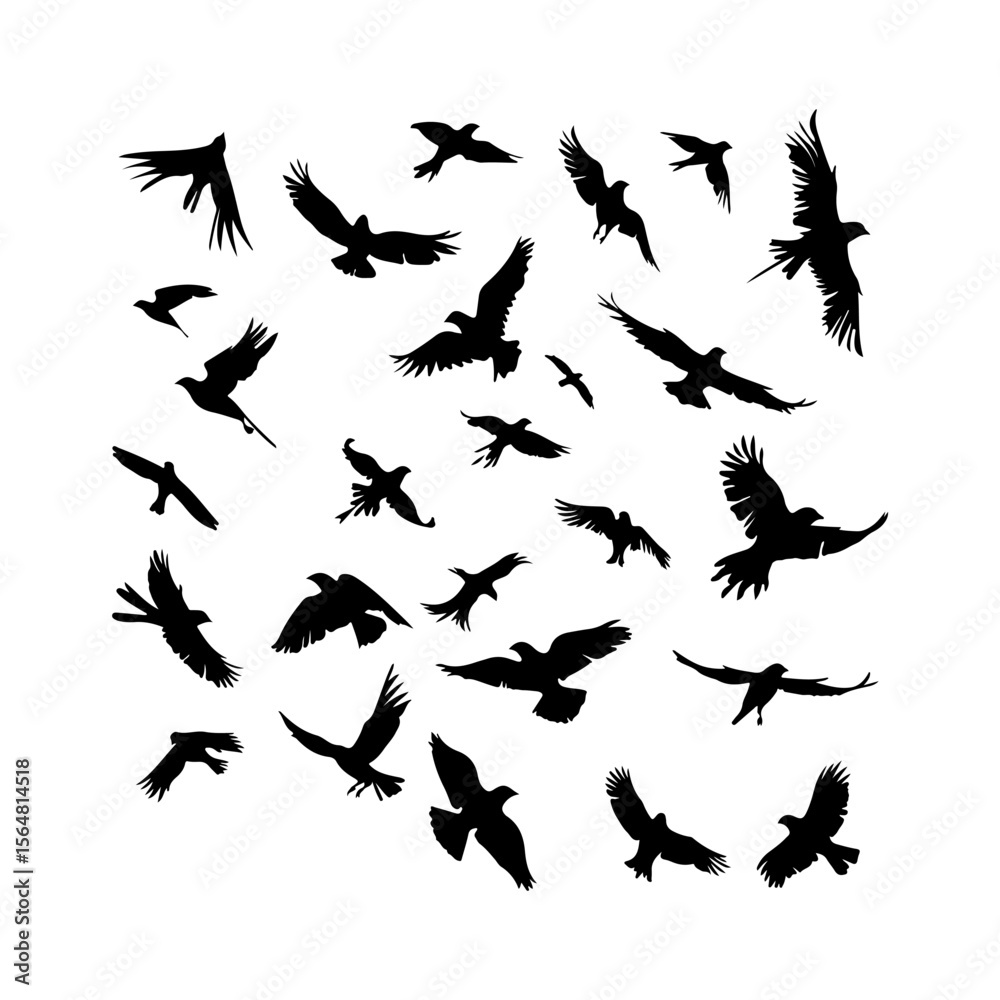Obraz premium Flock Flying Birds Black Set Clipart White Background