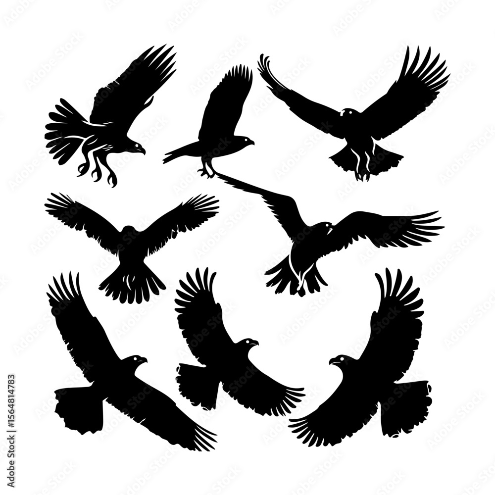 Obraz premium Flying Hawk Bird Black Silhouette Set Clipart White Background