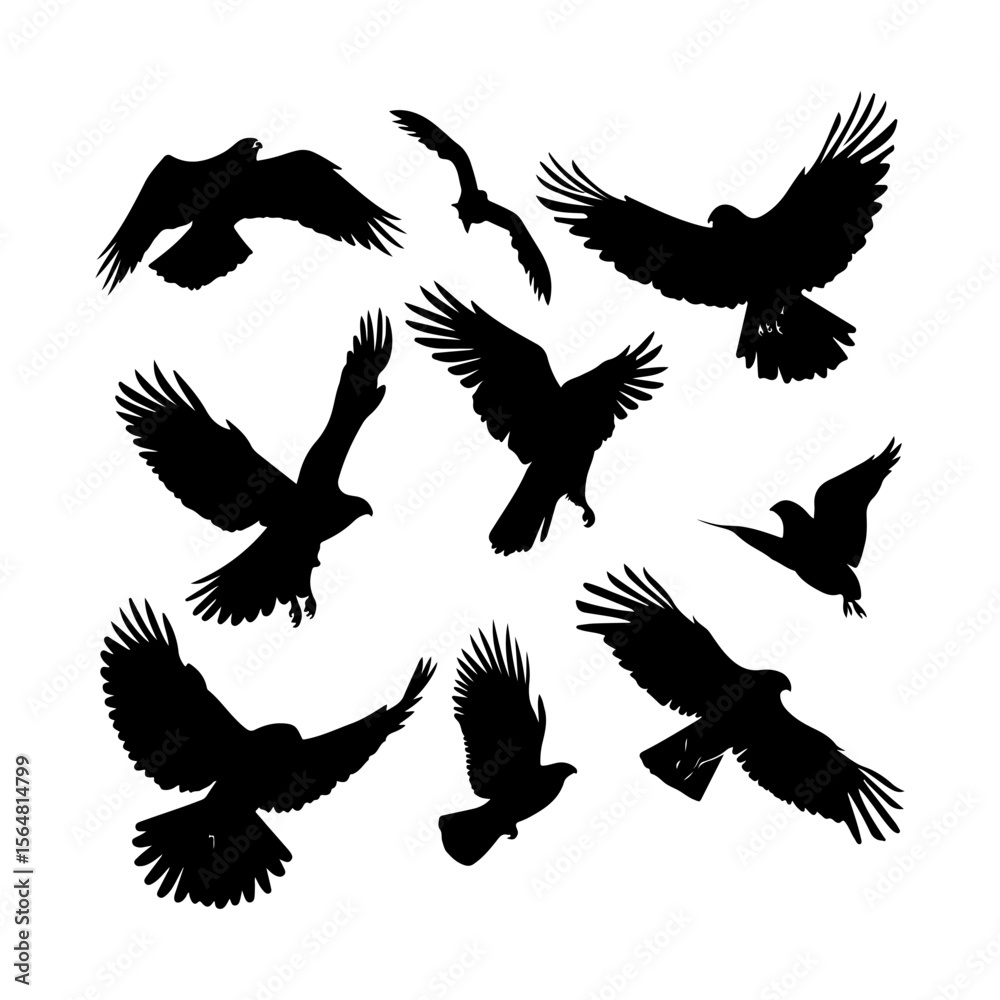 Obraz premium Flying Hawk Bird Black Silhouette Clipart