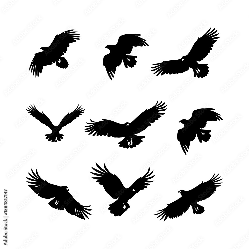 Fototapeta premium Hawk Bird Flying Silhouettes Set Clipart White Background