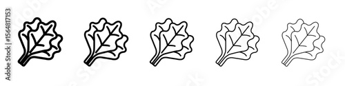 spinach icon thin line outline set or collection