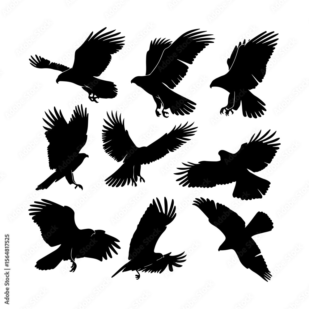 Obraz premium Flying Hawks Silhouettes Set Graphic Clipart