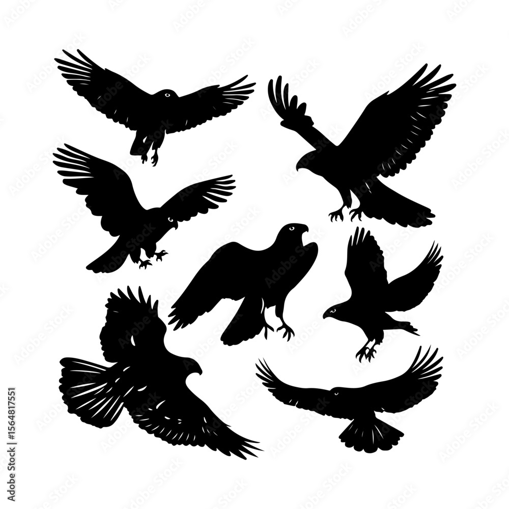 Fototapeta premium Elegant Flying Hawk Silhouettes Clipart Set
