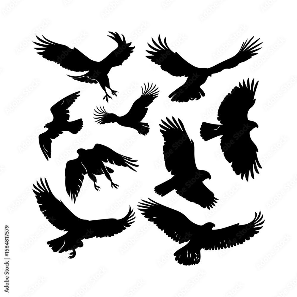 Obraz premium Hawk Bird Silhouettes in Air Clipart Set
