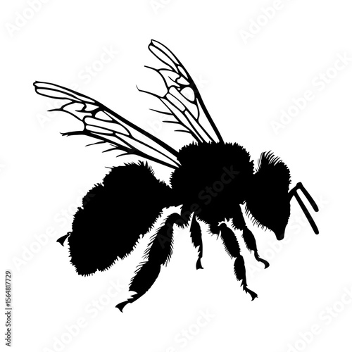 Honey Bee Silhouette Clipart White Background