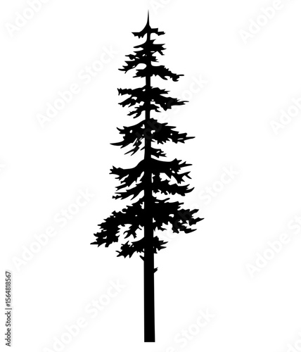 Minimilist silhouette depiction of a tall coniferous tree with dense branches against a white background, isolated image vector