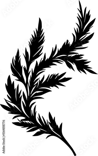 Minimilist silhouette of a fern frond with detailed leaflets curving upwards on a white background design element vector