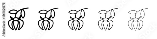 Ylang ylang icon thin line outline set or collection