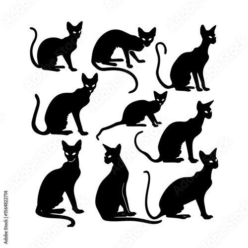 Hairless Breed Cat Silhouettes Clipart