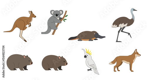 Vector australian wildlife illustration featuring kangaroo koala platypus emu wombat cockatoo and dingo animals image