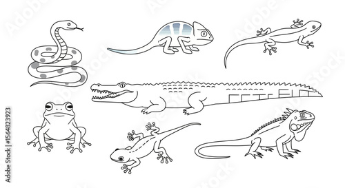 Vector explore diverse reptiles and amphibians vector illustration featuring snake chameleon iguana and crocodile drawing