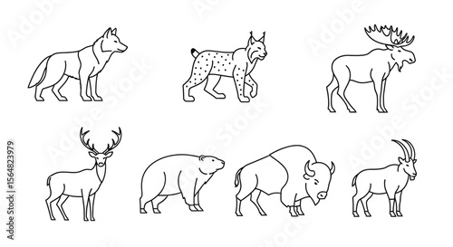Vector line art illustration of wild animals including wolf lynx moose deer bear bison and ibex vector design
