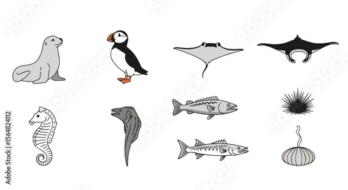 Vector illustration of marine animals: seal, puffin, manta ray, seahorse, eel, barracuda, sea urchin and fish