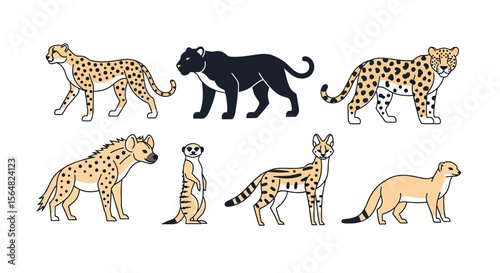 Vector illustration of african animals including cheetah leopard panther hyena meerkat serval and weasel drawing