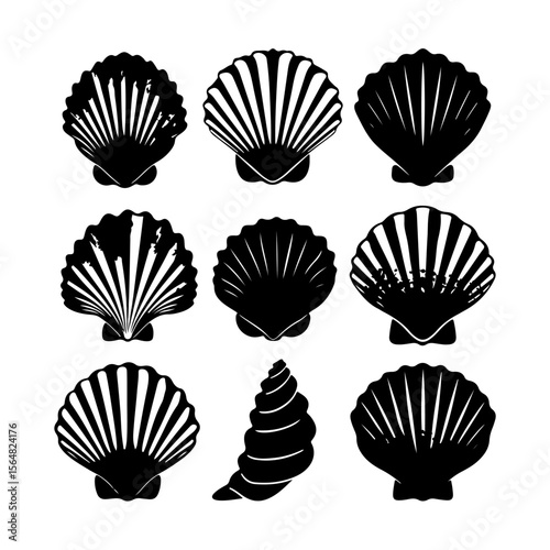 Seashell Silhouette Set Clam Black Clipart White Background