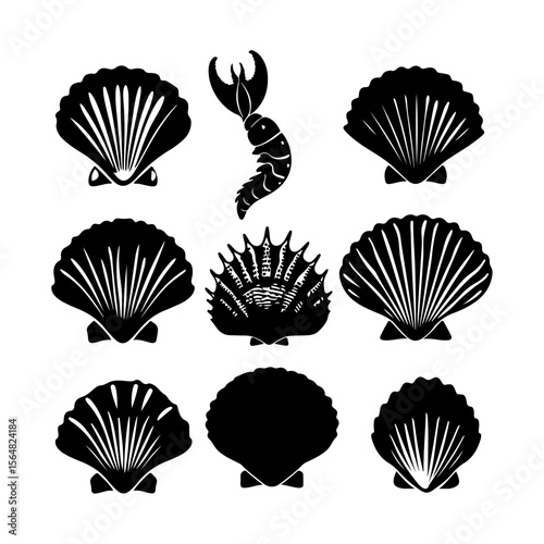 Seashell Silhouette Set Clam Black Clipart White Background