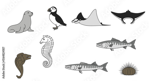 Vector illustration of ocean animals sea life including seal puffin manta ray seahorse moray barracuda urchin drawing