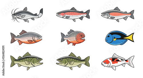Vector variety of fish species illustration including catfish salmon piranha tang bass and koi fish collection