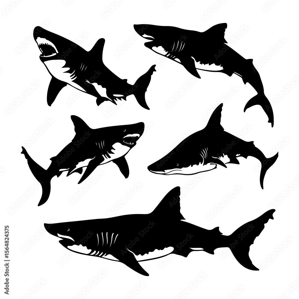 Fototapeta premium Set of Basking Shark Silhouette Clipart White Background
