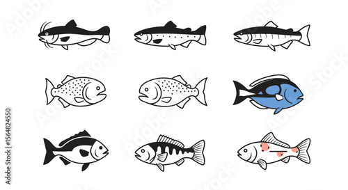Vector collection of different types of fish vector illustration seafood animal aquatic nature drawing marine life 100
