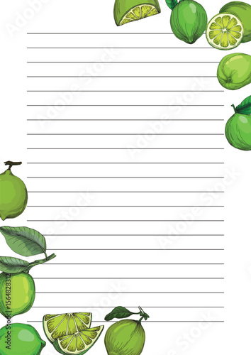 Lime. Colorful sketch collection of citrus fruits isolated on white background. Doodle hand drawn vegetables. Vector illustration