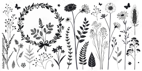 Collection of Hand-Drawn Botanical Illustrations Flowers, Leaves, and Wreaths